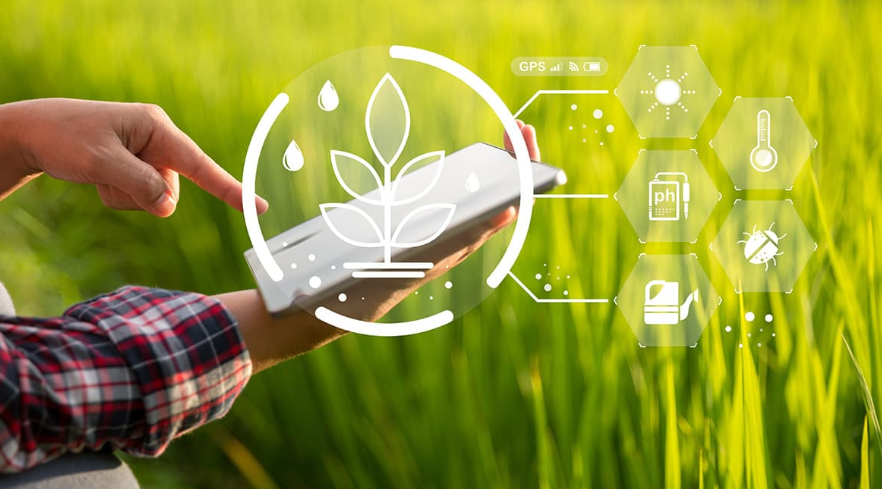 AgriTech dashboard